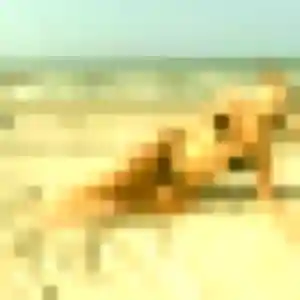Barbara, 30 ans, veut un rencontre sexy à Ambazac