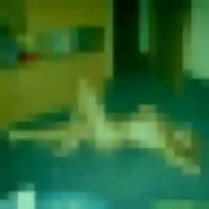 Cindy, 35 ans, en ligne à Aucamville pour un rencontre sexy