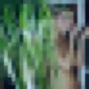 Jade, 23 ans, en ligne à Aulnoy-lez-Valenciennes pour une rencontre coquine