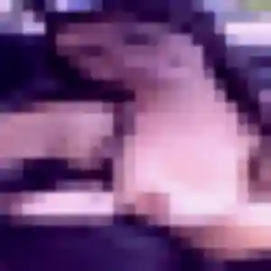 Profil de Eleonore à Aurillac (35 ans) - rencontre sexy anonyme