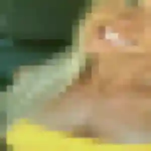 Belle Cecile, 43 ans à Barlin - découvrir son profil