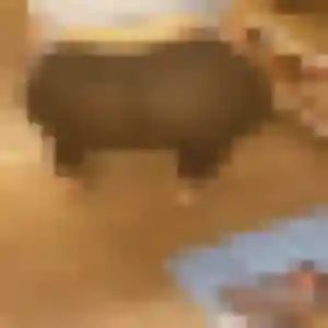 Zara, 42 ans, en ligne à Bédarieux pour une rencontre coquine