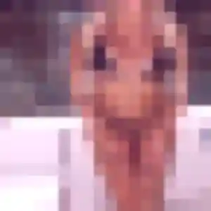 Zara de Bogny-sur-Meuse, 37 ans - rencontre sexy sans lendemain
