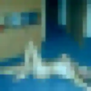 Wanda, 38 ans, dispo pour rencontre sexy à Bompas