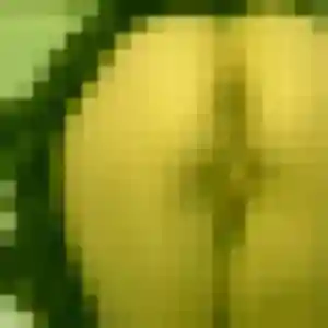 Sexy Xena, 34 ans à Brive-la-Gaillarde - la contacter