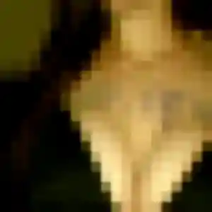 Berenice, 32 ans, dispo pour rencontre sexy à Brunoy