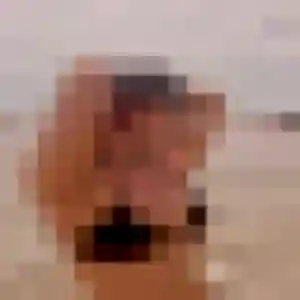 Salome, 36 ans, veut un rencontre sexy à Carentan-les-Marais
