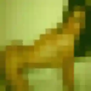 Marine, fille de 42 ans cherche rencontre sexy à Castelginest