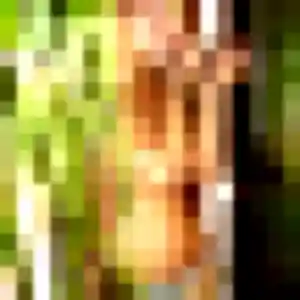 Photo perso de Soraya, 31 ans à Caudan - rencontre coquine