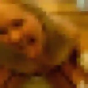 Lilou, 26 ans, connectée à Châtenay-Malabry pour une rencontre coquine