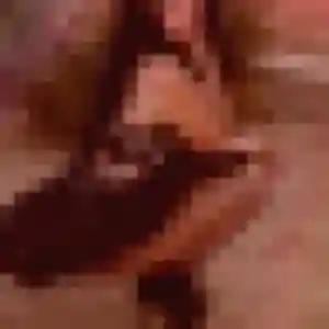 Profil de Zineb à Condé-en-Normandie (45 ans) - rencontre sexy anonyme