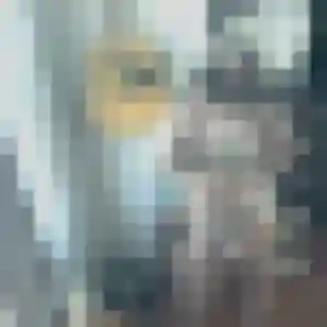 Azalee, 44 ans, connectée à Conflans-Sainte-Honorine pour une rencontre coquine