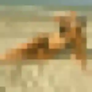 Photo de Judith à Craponne (39 ans) - rencontre sexy gratuit