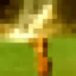 Sara (34 ans) à Cuincy attend une rencontre ce soir