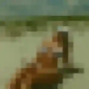 Photo sexy de Ambre, 35 ans à Divion - plan discret