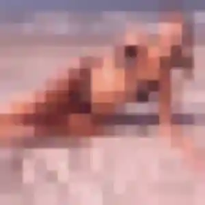 Manon, 29 ans, cherche un rencontre sexy à Domène