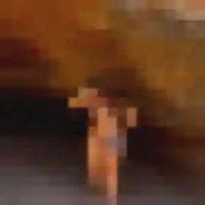 Jolie Audrey, 41 ans à Dompierre-sur-Mer - la contacter