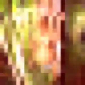 Photo exclusive de Frederique, 20 ans à Drusenheim - rencontre coquine