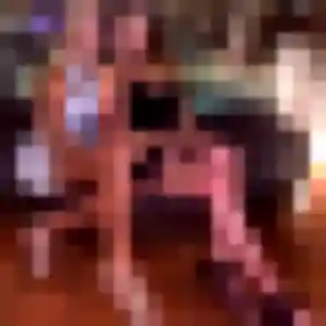 Ameline, 23 ans, veut un rencontre sexy à Épinay-sur-Orge