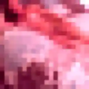 Axelle (23 ans) à Éragny cherche un rencontre sexy maintenant