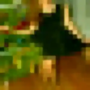Bettina (39 ans) à Fenouillet cherche un rencontre sexy rapidement
