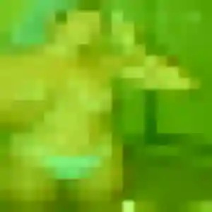 Anne, 42 ans, disponible à Feyzin pour une rencontre coquine