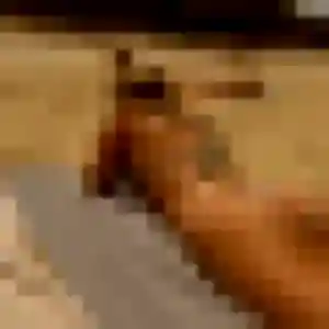 Photo de Ameline à Fort-de-France (25 ans) - rencontre sexy anonyme
