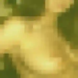 Agnes, 43 ans, cherche un rencontre sexy à Groslay