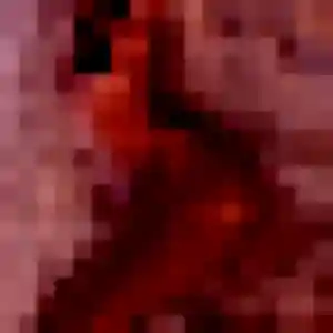 Photo sexy de Colombine, 29 ans à Gueugnon - rencontre coquine