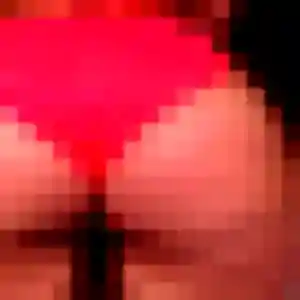 Photo privée de Yannick, 42 ans à Guilers - plan discret