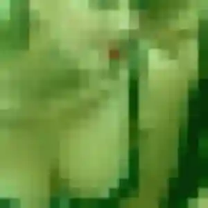 Photo de Anastasia à Ivry-sur-Seine (35 ans) - rencontre sexy sans inscription