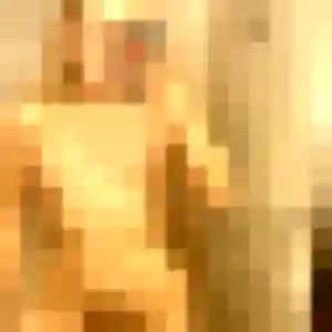 Svetlana (29 ans) à La Ferté Macé cherche un rencontre sexy aujourd'hui