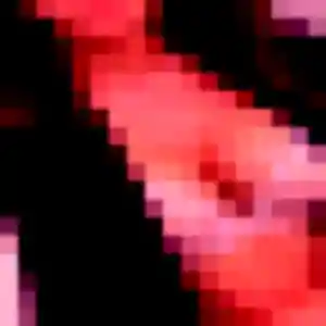 Clementine, femme de 24 ans cherche rencontre sexy à La Plaine-des-Palmistes