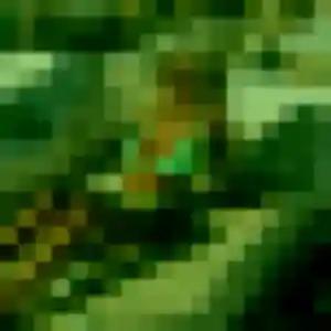 Katia (39 ans) à Lanester propose un rencontre sexy maintenant