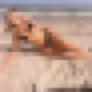 Sexy Phoebe, 44 ans à Les Sorinières - voir sa photo