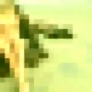 rencontre sexy à Longwy : profil de Chloe, 44 ans - inscription gratuite