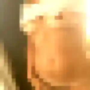 Photo privée de Paloma, 29 ans à Loriol-sur-Drôme - rencontre coquine