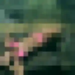 Photo de Regine à Luçon (43 ans) - rencontre sexy sans inscription