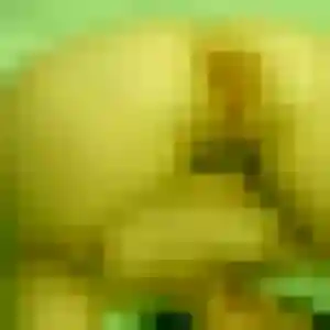 Thais, 33 ans, disponible à Marck pour un rencontre sexy