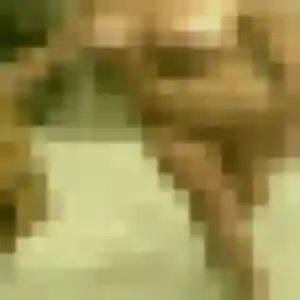 Belle Idalina, 36 ans à Margny-lès-Compiègne - la contacter