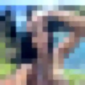 Nicole de Marsannay-la-Côte, 33 ans - rencontre sexy discret