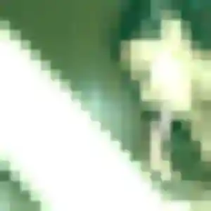 Photo privée de Adele, 44 ans à Maubeuge - rencontre coquine