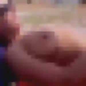 Ilona, 43 ans, veut un rencontre sexy à Mazingarbe