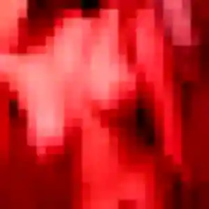 Solange, 38 ans, dispo pour rencontre sexy à Mons-en-Barœul
