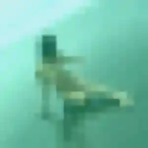 Photo de Yannick à Montigny-en-Gohelle (43 ans) - rencontre sexy discret
