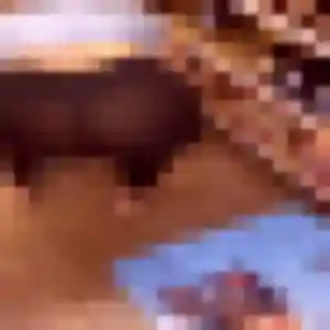 Graziella (28 ans) à Nègrepelisse cherche une rencontre ce soir