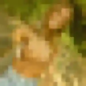 Isabella (39 ans) à Nort-sur-Erdre attend un rencontre sexy rapidement