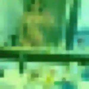 Zara (40 ans) à Parigné-l'Évêque cherche un rencontre sexy maintenant