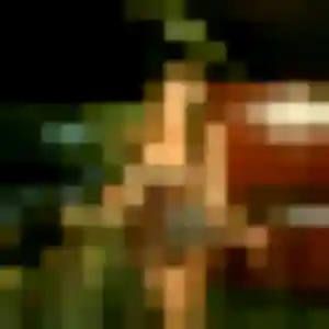 Photo de Ophelie à Pierrefeu-du-Var (33 ans) - rencontre sexy discret