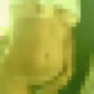 Dana, 21 ans, dispo pour rencontre sexy à Pordic